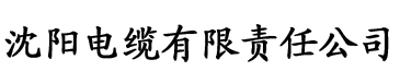 91香蕉视频污电缆厂logo